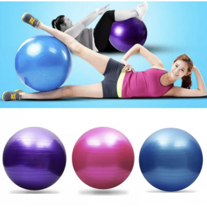 Yoga Ball 55 cm with pump Yoga Ball Fitness Ball